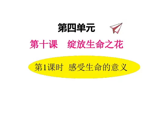 10.1感受生命的意义(七年级上册道德与法治课件)