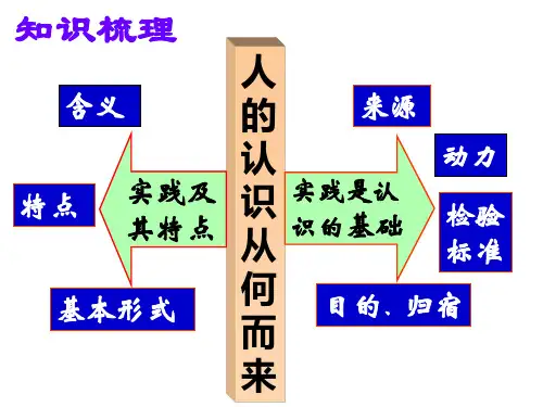 在实践中追求和发展真理(公开课)(PPT41页)