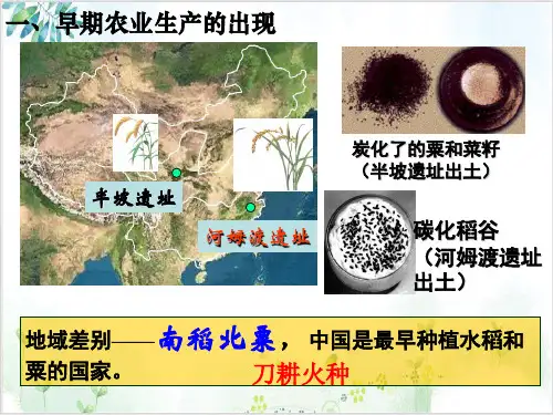 人教版《发达的古代农业》PPT-PPT精美课件