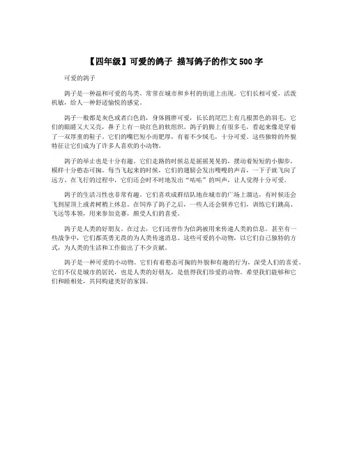 【四年级】可爱的鸽子 描写鸽子的作文500字
