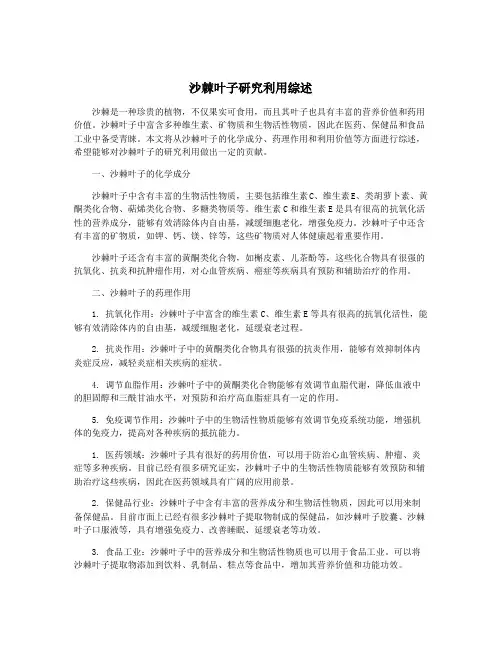 沙棘叶子研究利用综述