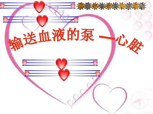 七年级生物下册心脏课件人教新课标版