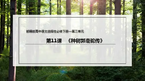 11《种树郭橐驼传》课件(共31张PPT)统编版高中语文选择性必修下册.ppt