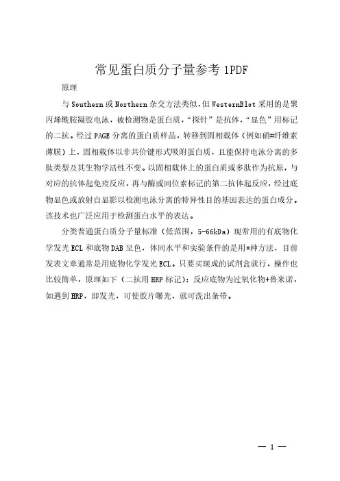 常见蛋白质分子量参考1 PDF
