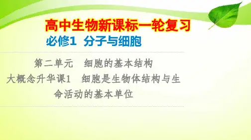 【新教材生物一轮复习】必修1 第2单元 大概念升华课1 细胞是生物体结构与生命活动的基本单位