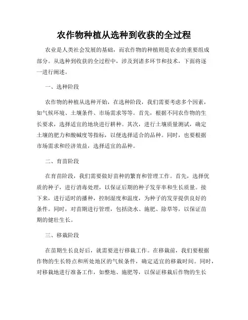 农作物种植从选种到收获的全过程