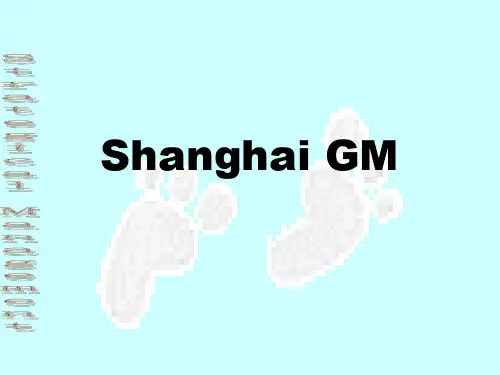 上海通用汽车品牌策略(PPT30)(1)