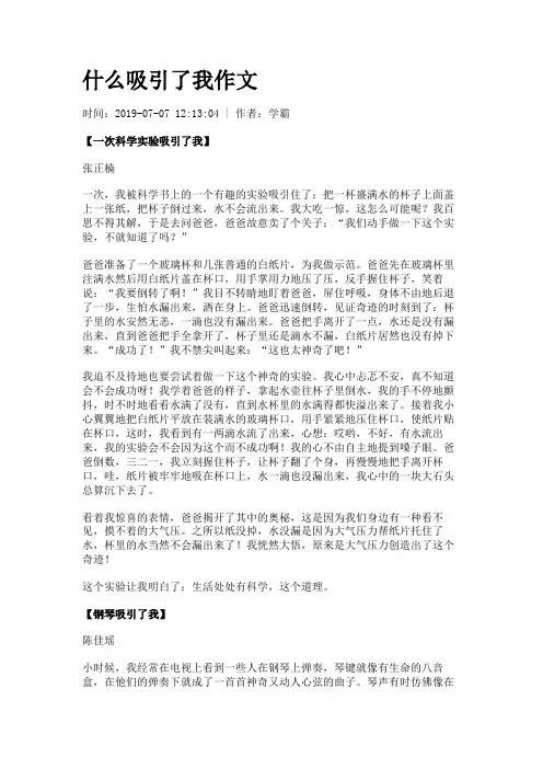 什么吸引了我作文