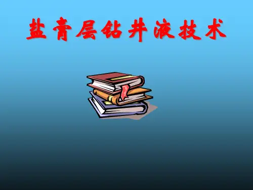 盐膏层钻井液技术精品PPT课件