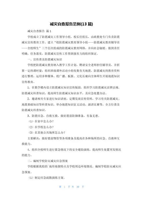 减灾自查报告范例(13篇)