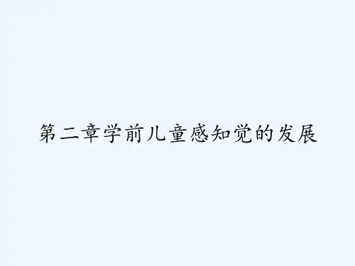 第二章学前儿童感知觉的发展 PPT