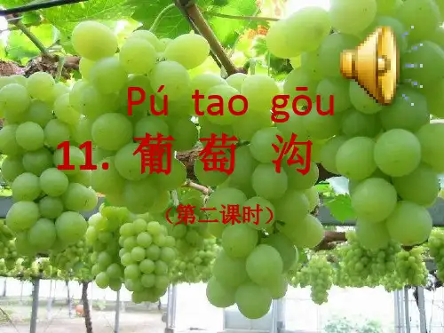 人教部编版语文《葡萄沟》PPT精品课件1