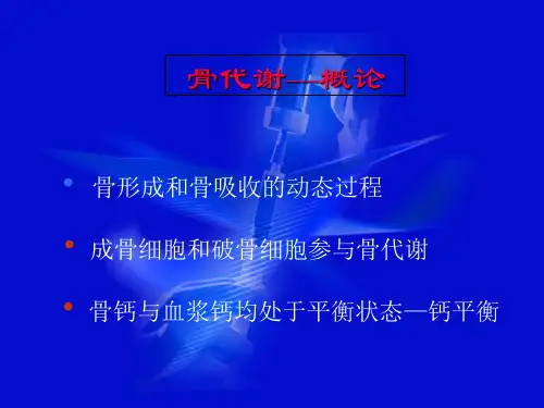骨代谢 课件