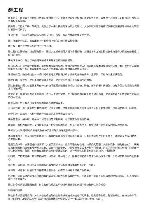 酶工程——精选推荐