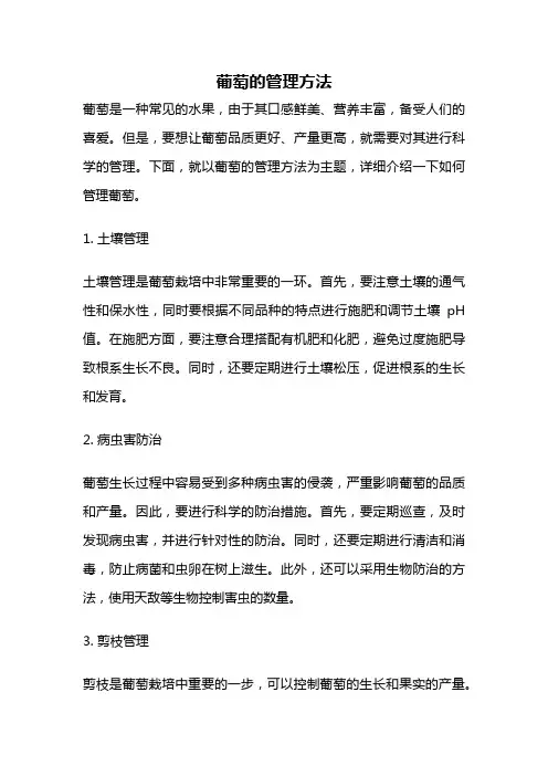 葡萄的管理方法