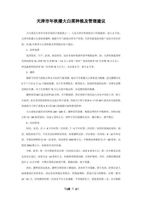天津市年秋播大白菜种植及管理建议