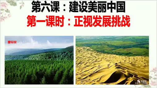 新部编版ppt_九上道德与法治-正视发展挑战