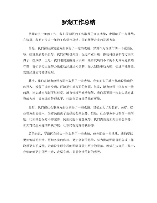 罗湖工作总结