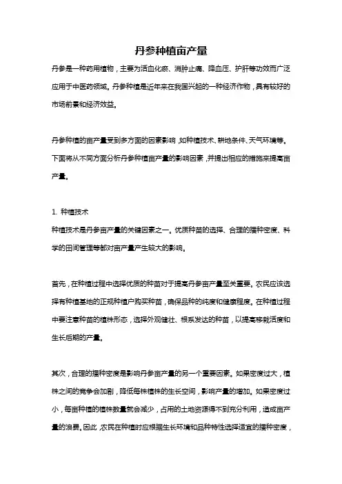 丹参种植亩产量