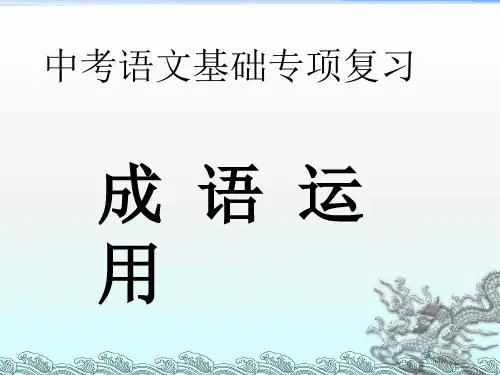 《成语运用》PPT课件