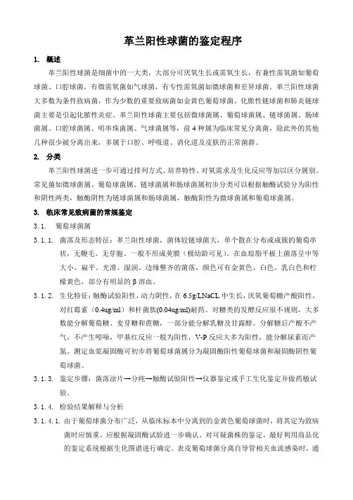 革兰阳性球菌的鉴定程序