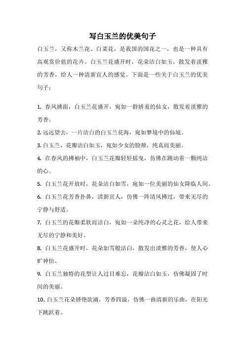 写白玉兰的优美句子