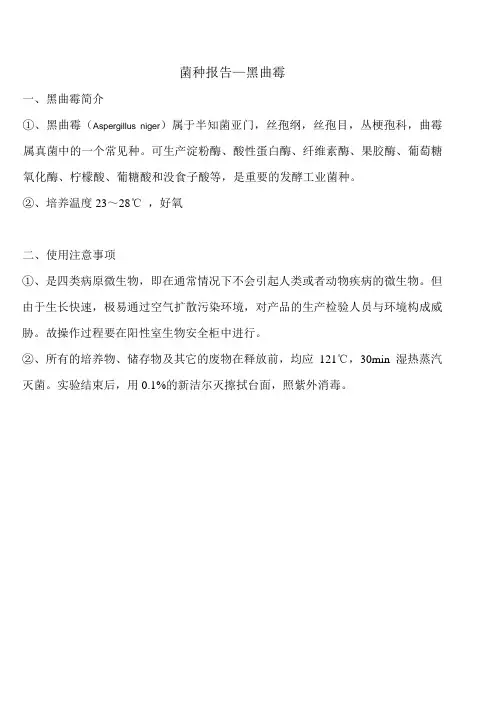 菌种报告-黑曲霉