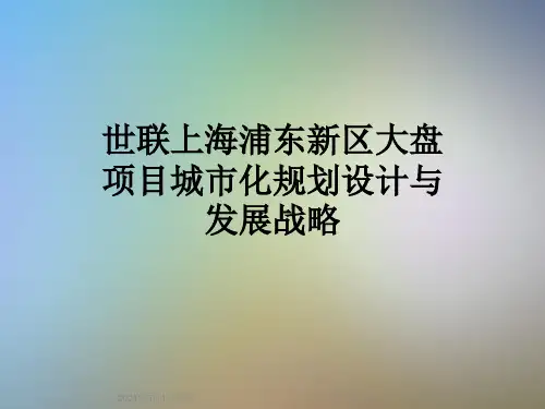 世联上海浦东新区大盘项目城市化规划设计与发展战略