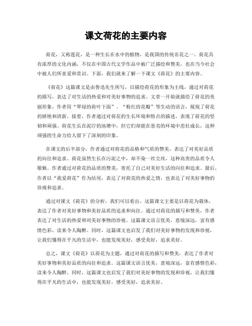 课文荷花的主要内容