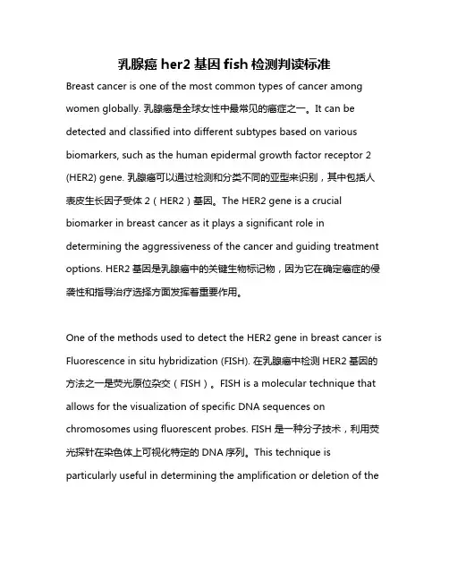 乳腺癌her2基因fish检测判读标准