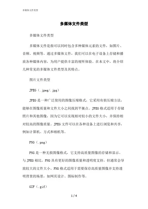 2023修正版多媒体文件类型[1]