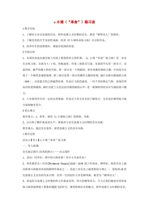 八年级音乐上册 第四单元 c小调(“革命”)练习曲教案 湘艺版