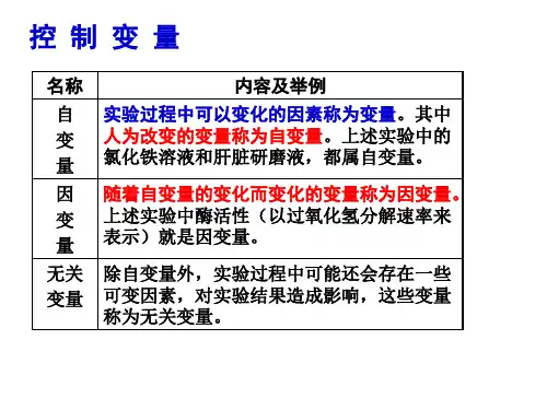 对照实验