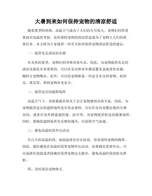 大暑到来如何保持宠物的清凉舒适