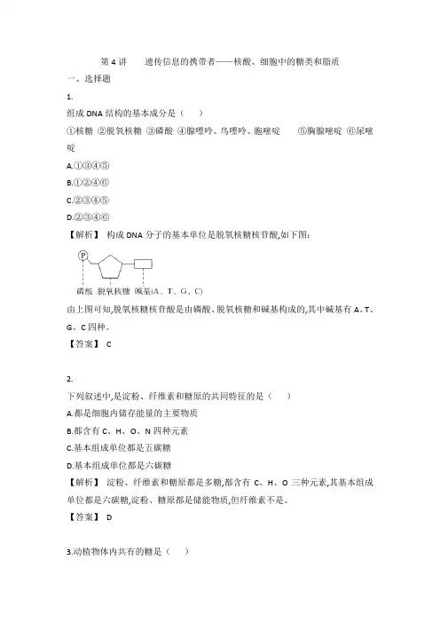 1.1.4遗传信息的携带者——核酸、细胞中的糖类和脂质