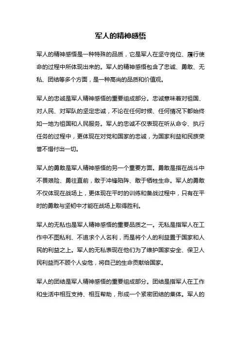 军人的精神感悟