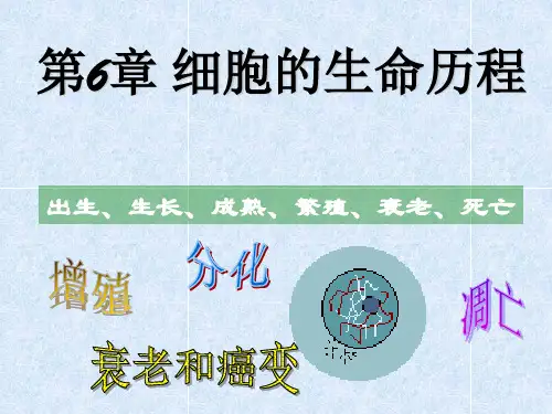 6.1细胞的增殖 (共40张PPT)