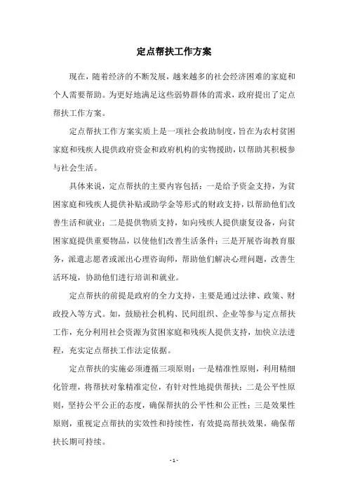 定点帮扶工作方案