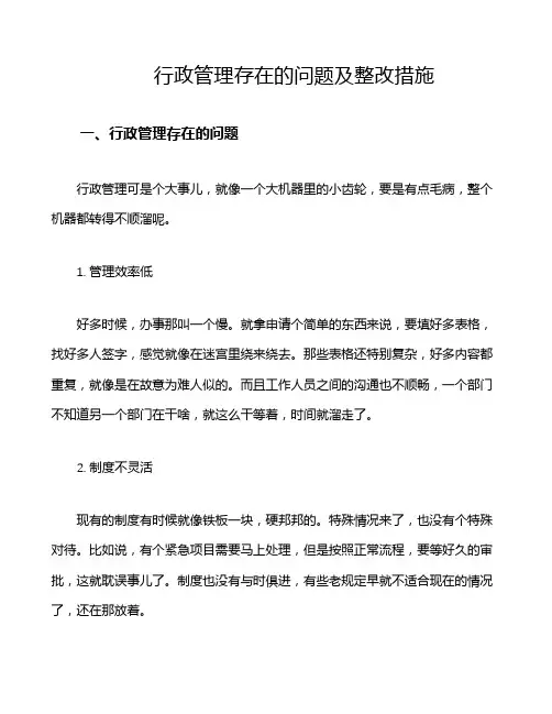 行政管理存在的问题及整改措施