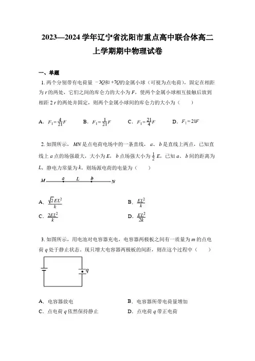 2023—2024学年辽宁省沈阳市重点高中联合体高二上学期期中物理试卷