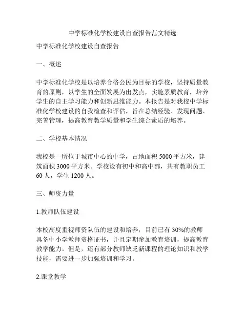 中学标准化学校建设自查报告范文精选