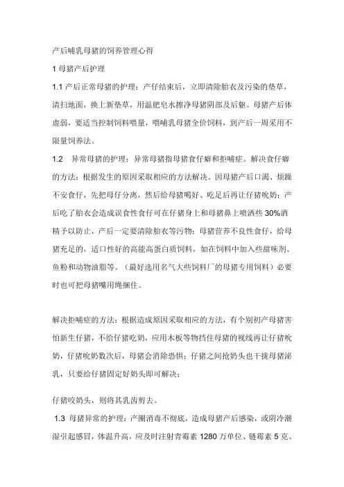 产后哺乳母猪的饲养管理心得