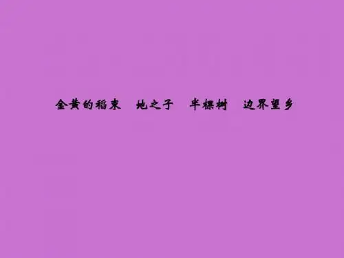 人教版高中一年级(高一)语文选修：中国现代诗歌散文欣赏金黄的稻束_课件2