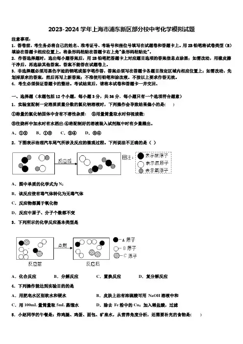 2023-2024学年上海市浦东新区部分校中考化学模拟试题含解析
