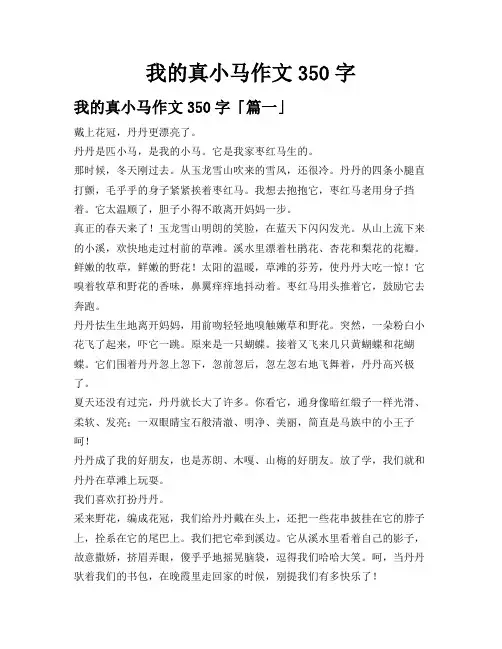 我的真小马作文350字