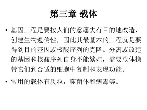 第三章载体ppt课件