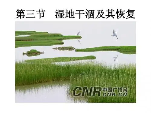 高中地理4.3湿地干涸及其恢复 名师公开课市级获奖课件 人教版选修6