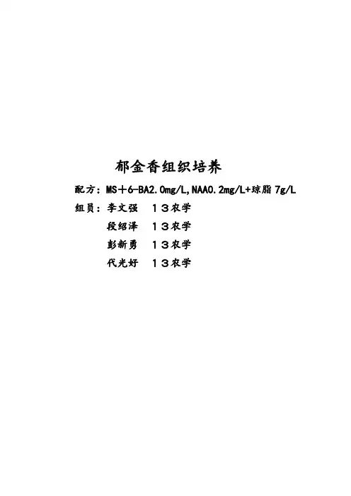 组培实验