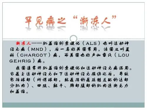 新药ppt