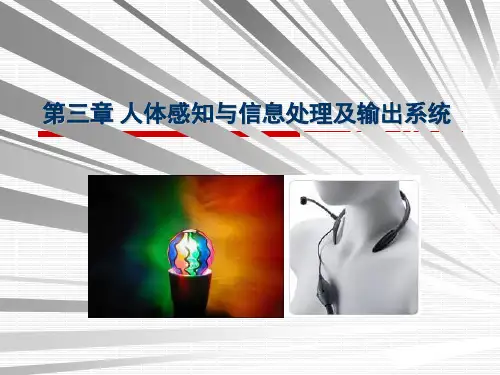 第3章 人体感知与信息处理及输出系统讲解